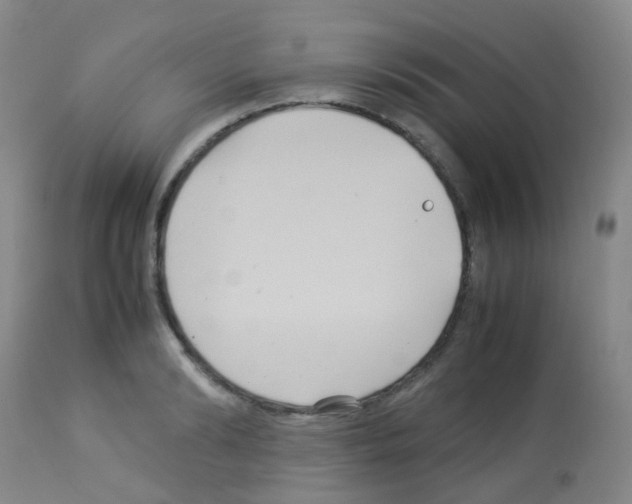 X0000113070894200910091205