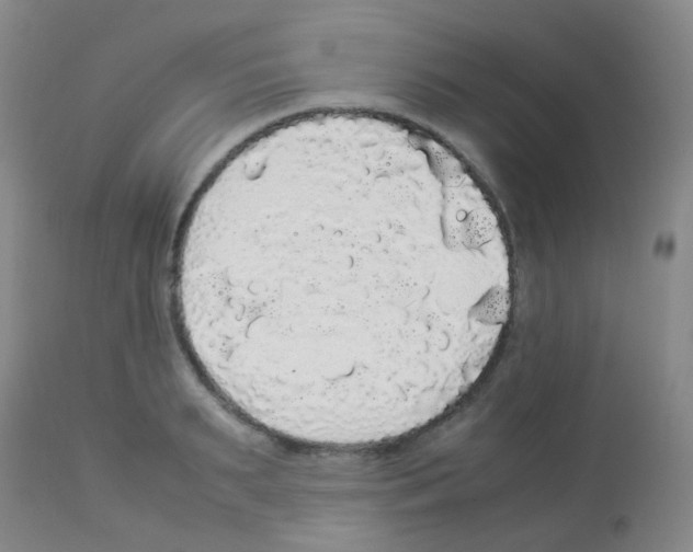 X0000113070895200910091205