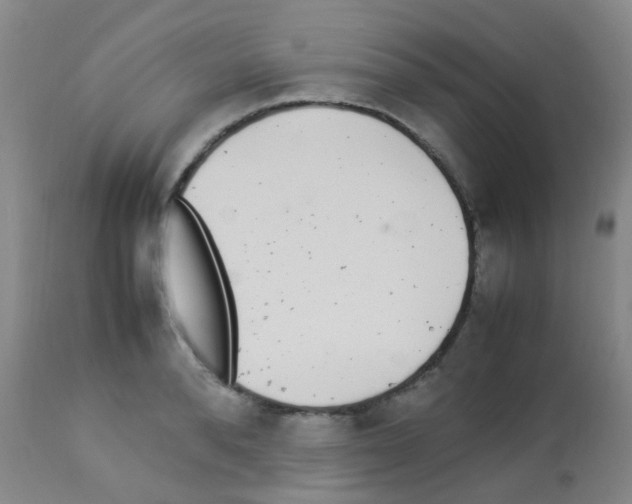 X0000113070896200910091205