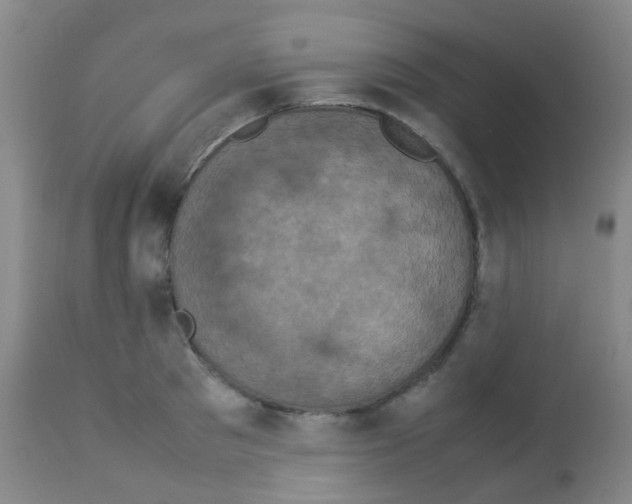 X0000113070897200910091205