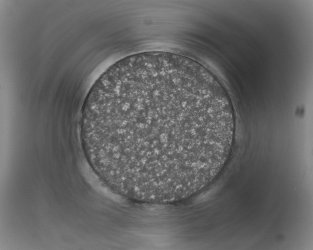 X0000113070899200910091205