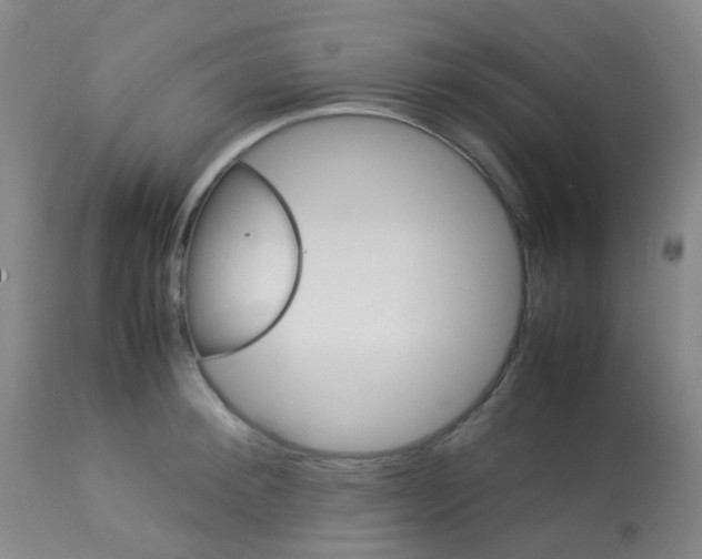 X0000113070900200910091205