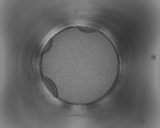 X0000113070901200910091205
