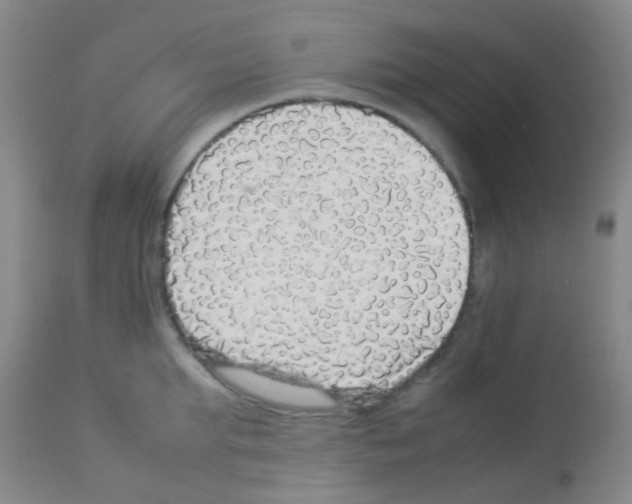 X0000113070903200910091205