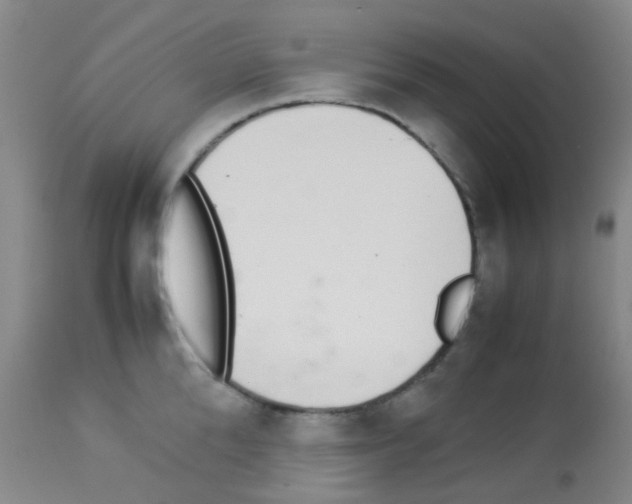X0000113070904200910091205
