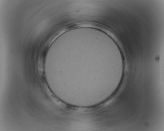 X0000113070905200910091205