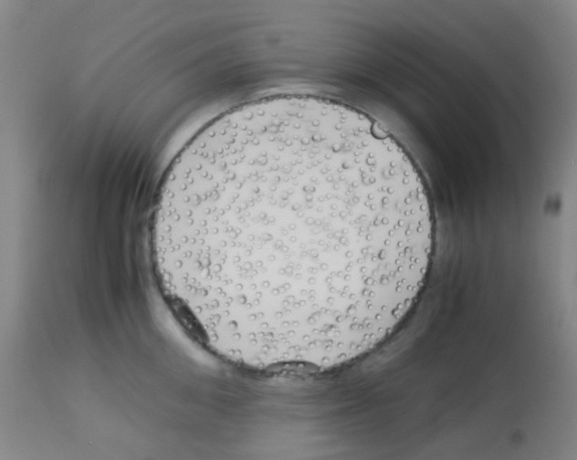 X0000113070906200910091205