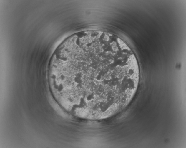 X0000113070907200910091205