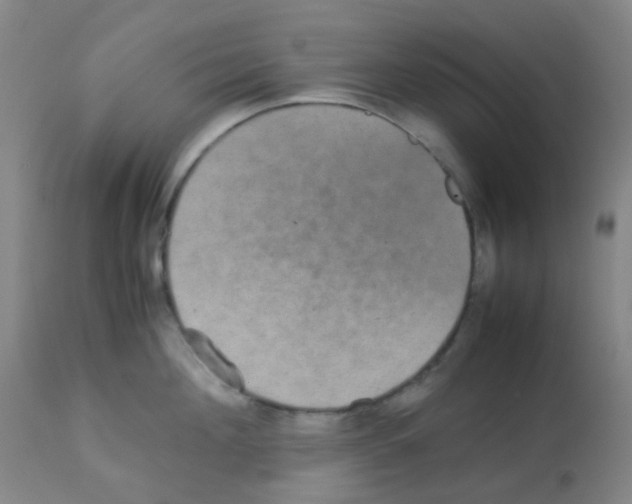 X0000113070908200910091205
