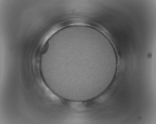 X0000113070909200910091205