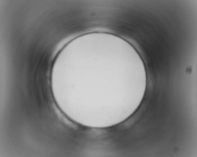 X0000113070910200910091205