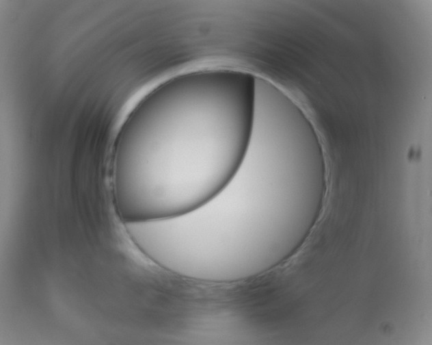 X0000113070912200910091205