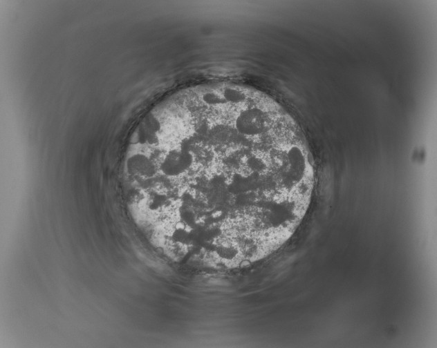 X0000113070913200910091204
