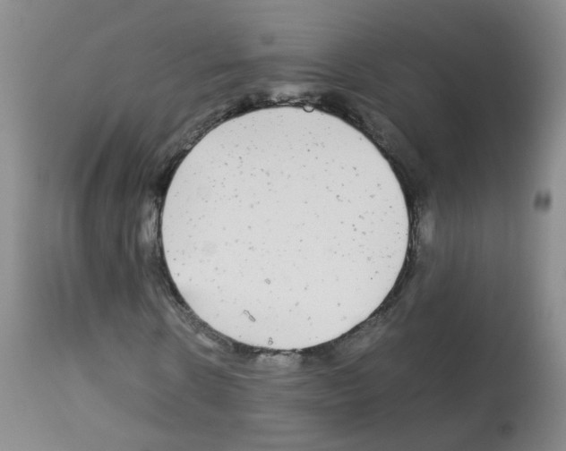X0000113070914200910091204