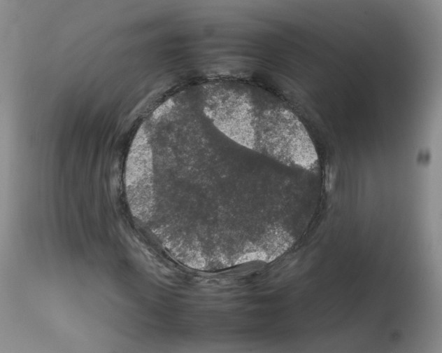 X0000113070915200910091204