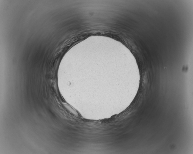 X0000113070916200910091204