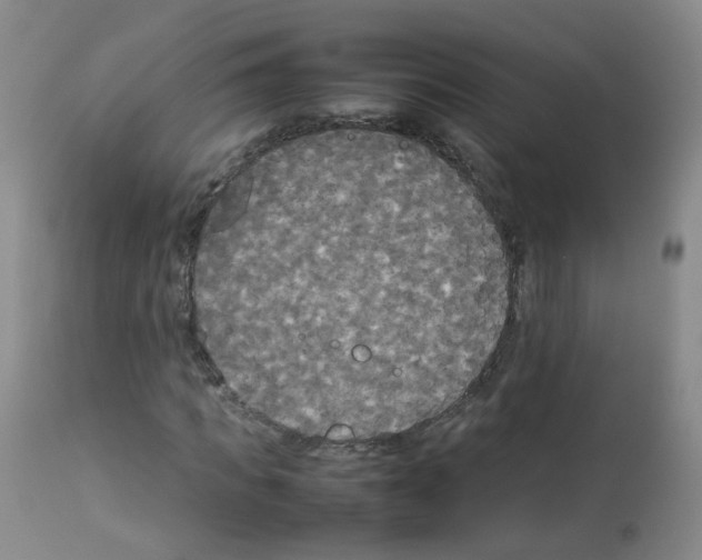 X0000113070917200910091204