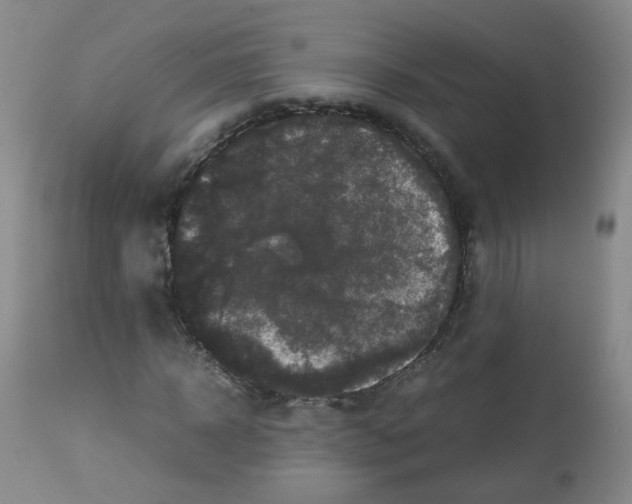 X0000113070918200910091204