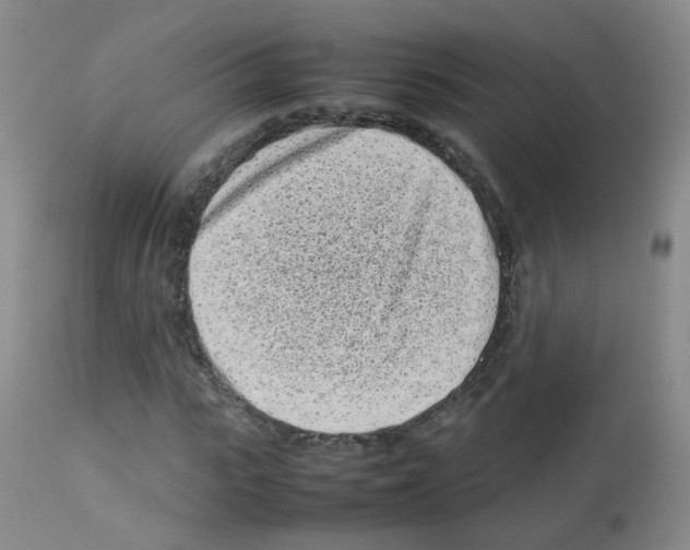 X0000113070919200910091204