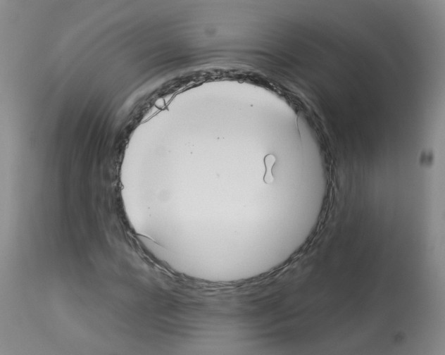 X0000113070920200910091204