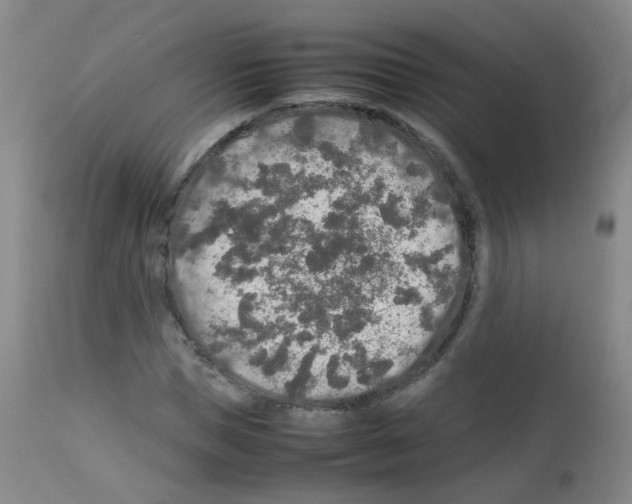 X0000113070921200910091204