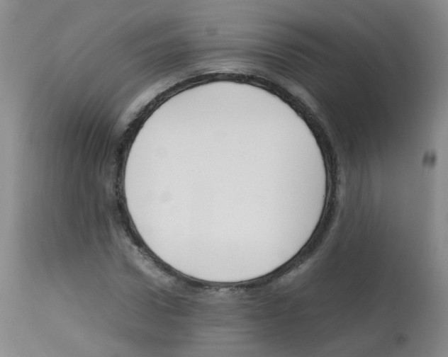 X0000113070922200910091204