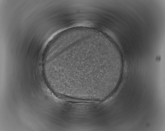 X0000113070923200910091204