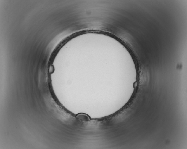 X0000113070924200910091204