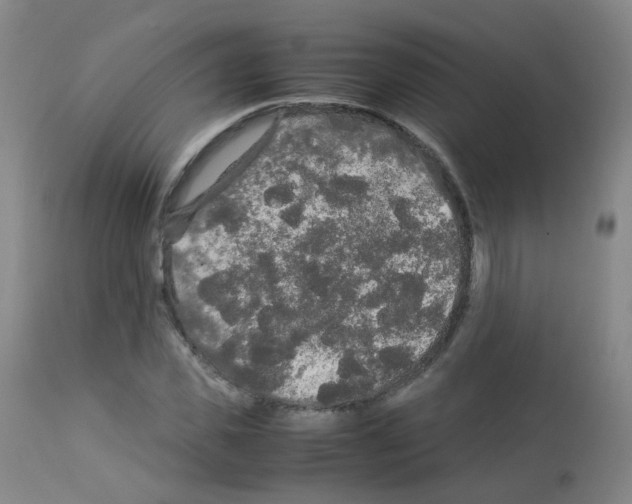 X0000113070925200910091204