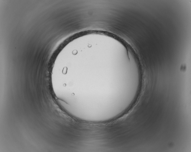X0000113070926200910091204
