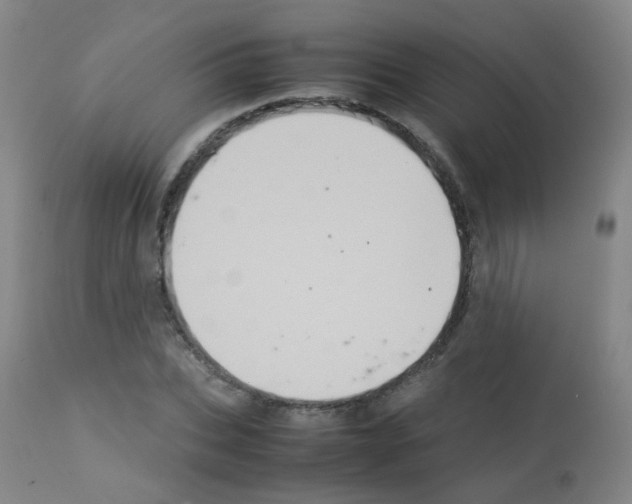 X0000113070927200910091204