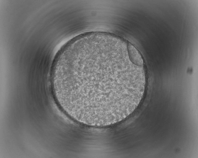 X0000113070928200910091204