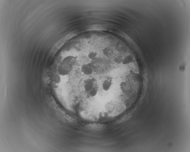X0000113070929200910091204