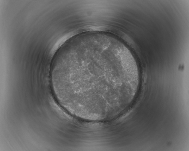 X0000113070930200910091204