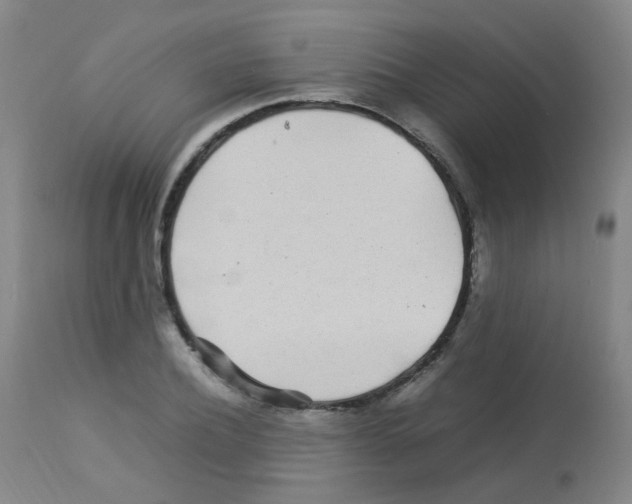 X0000113070932200910091204