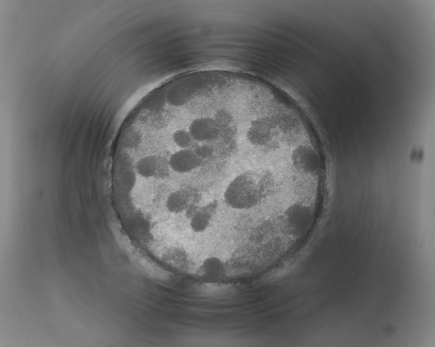 X0000113070933200910091204