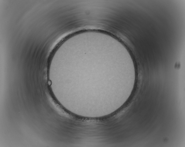 X0000113070934200910091204