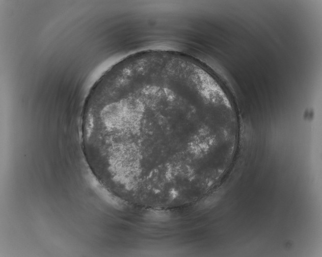 X0000113070935200910091204