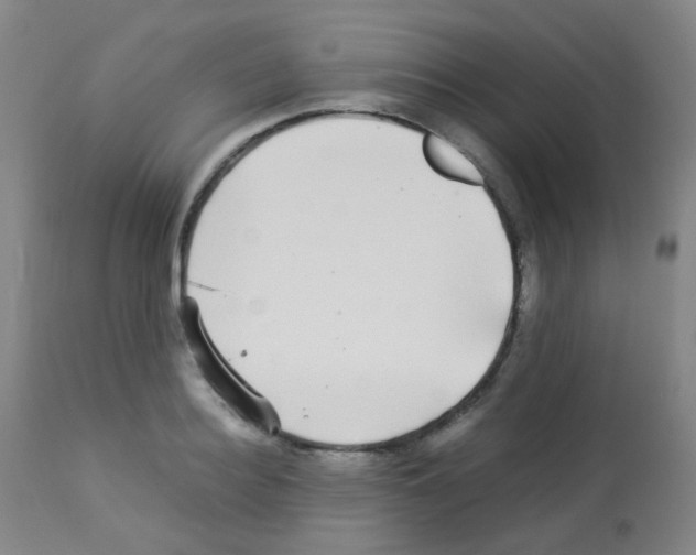 X0000113070940200910091204