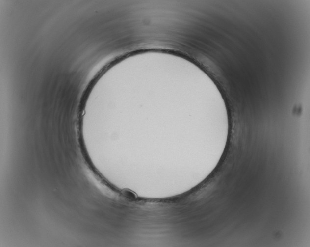 X0000113070942200910091204