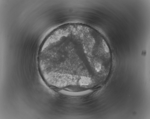 X0000113070943200910091205