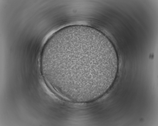 X0000113070944200910091205