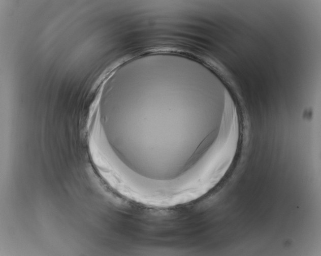 X0000113070945200910091205