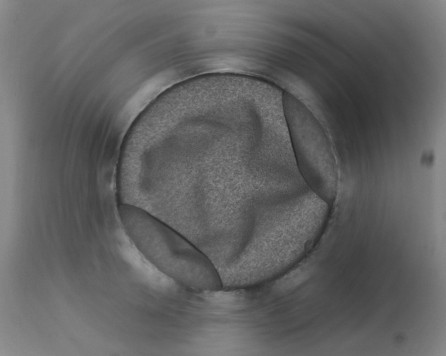 X0000113070946200910091205