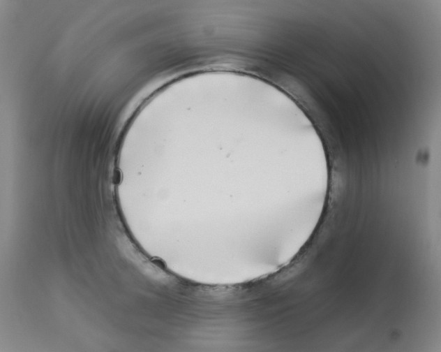 X0000113070948200910091205