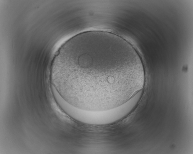 X0000113070952200910091205