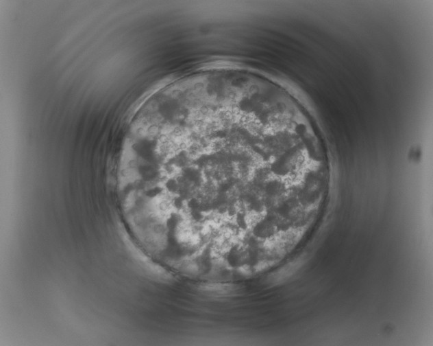 X0000113070953200910091205