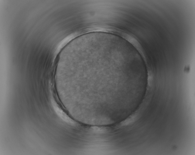 X0000113070954200910091205