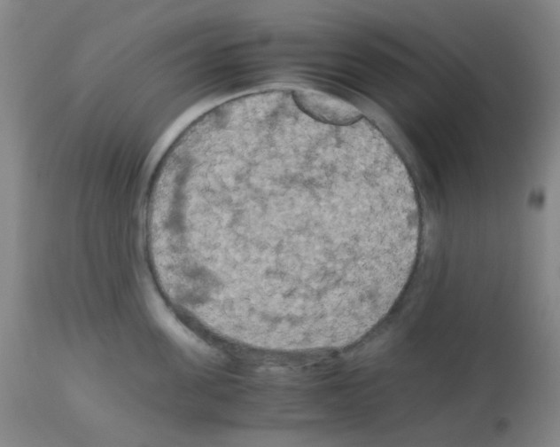 X0000113070955200910091205