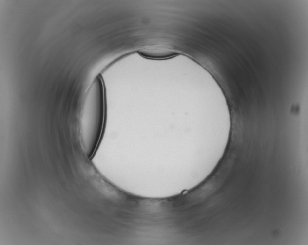 X0000113070956200910091205